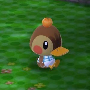 Meet your Posher, Madi